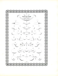 Calligraphic Pen Flourishes - Continuation of the First Series