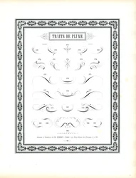 Calligraphic Pen Flourishes - Traits de Plume