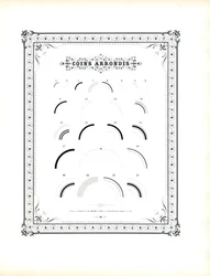 Rounded Corner Elements