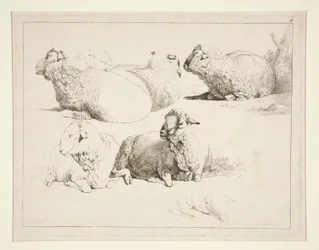 Sheep at Pasture