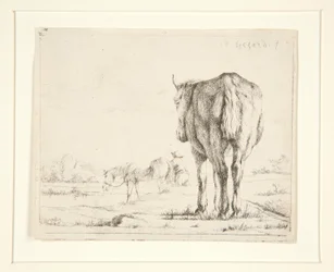 Two Horses Grazing