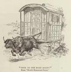 Took to the Road Again!