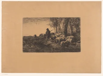 Shepherd with Group of Pigs