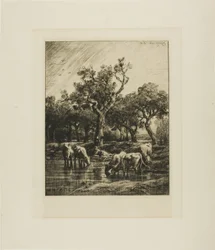 Cows at a Watering Place