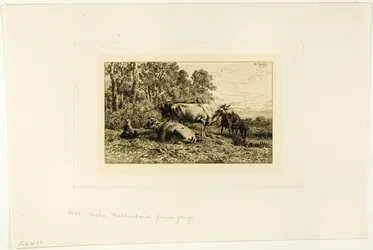 Dutch Cows