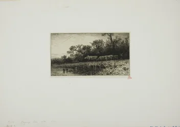 Evening Landscape