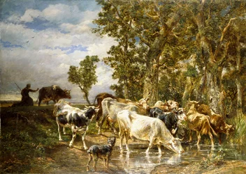 Herd of Cows at a Drinking Pool