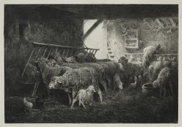Interior of Sheep Enclosure
