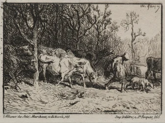 The Cowherd
