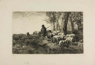 Man with Herd of Pigs
