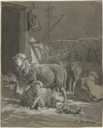 Sheep in a Manger