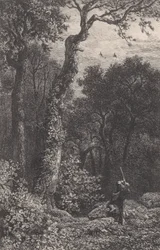 Shooting a Woodcock