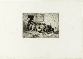 The Sheep Coming Home