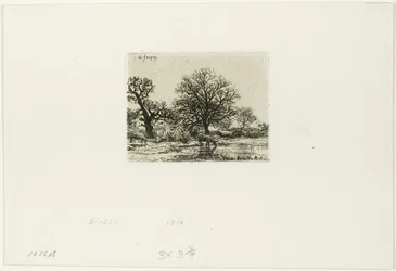 Trees and Cows near a Pond