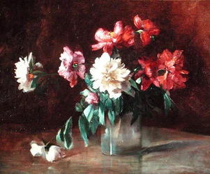 Peonies in a Vase