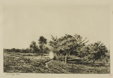 Apple Trees at Auvers