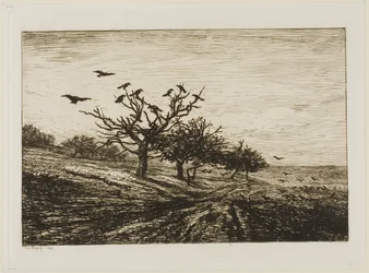 Crows in a Tree