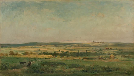 Grain Harvest
