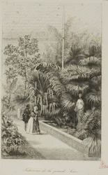 Interior of the Large Greenhouse