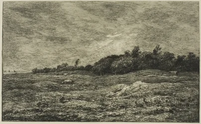 The Meadow of Graves at Villerville (Calvados)