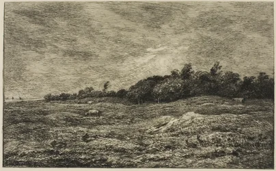 The Meadow of Graves at Villerville (Calvados)
