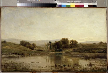 The Pond