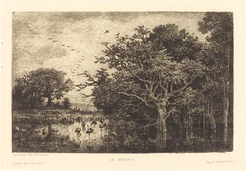 Marsh
