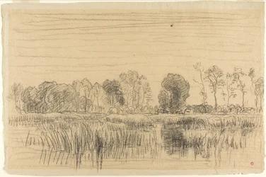 Marsh and Screen of Trees