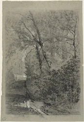 Path in the Woods