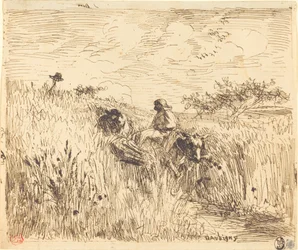 Path through a Wheat Field