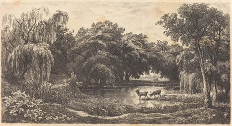 Pool with Deer