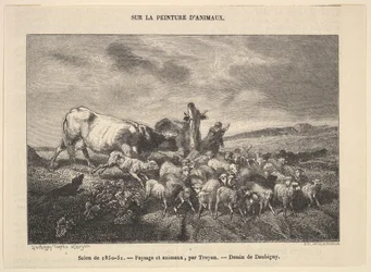 Landscape and Animals