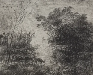 Stags