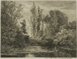 Stags at the Water