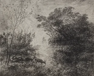 Stags, original impression 1862, printed in 1921