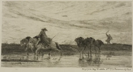 The Dray Horses