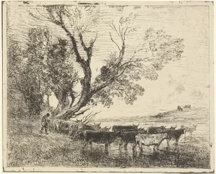 The Ford