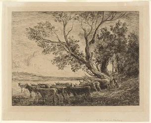 The Ford