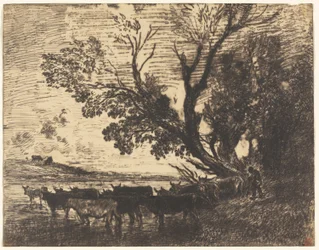 The Ford