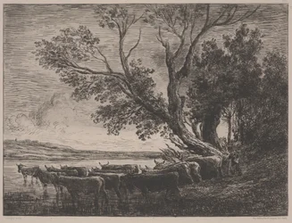 The Ford
