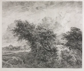 The Thicket, 1855