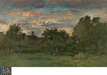 Orchard at Night