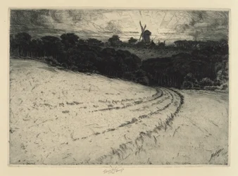 Morning, Canonicut Island, 1908