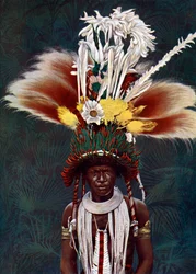 A Roro Chief Dressed for a Ceremonial Dance, Papua New Guinea