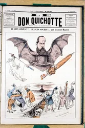 Cover of Le Don Quixote, Satirical in Colors