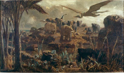 The Elephants