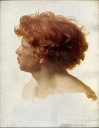 Head Study