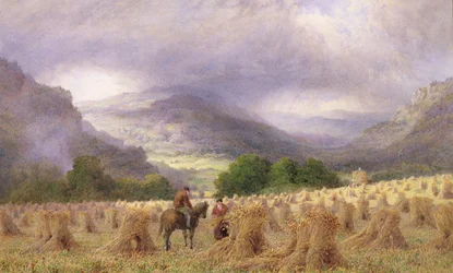 Harvest Time