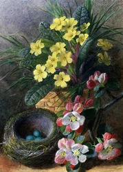 Apple Blossoms and Primroses. Still Life with a Nest and Flowers