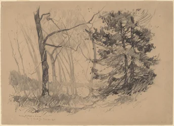 Wood Interior
